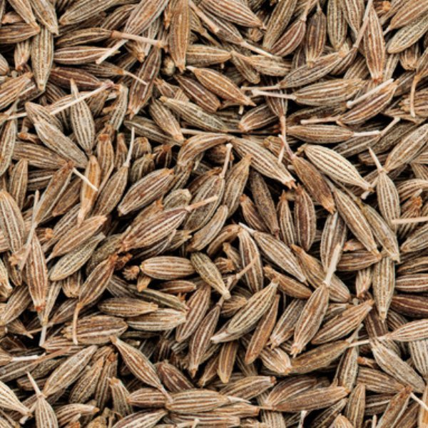 Elwendia Persica kala Zeera Seeds