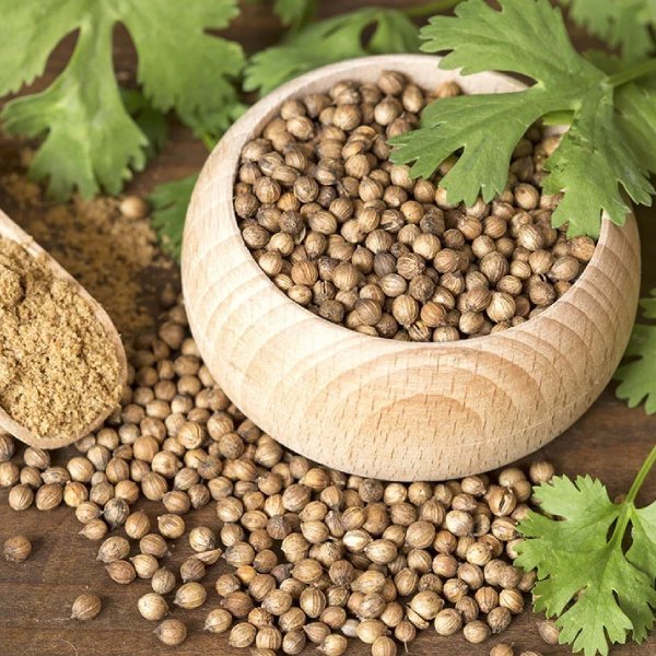 Coriander Seeds