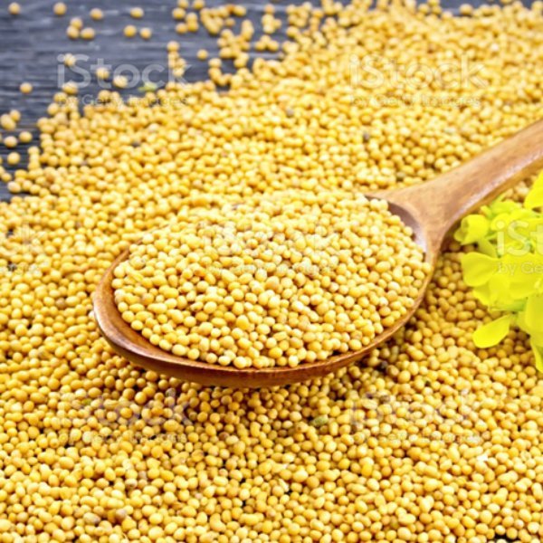 Mustard Yellow Seeds